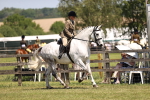 SBM_15065