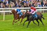 190523-Race 3-Marhaba The Champ-0645