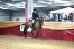SBM_23962
