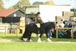 SBM_66390