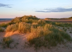 Dunes - Holkham Beach