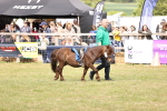 SBM_16393