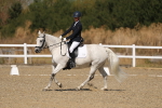 SBM_013565