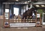 JAC_1946