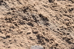 231015A-112230-07433