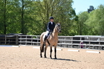 WJ6_9308