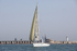 190629 CATZERO GBR2289 D43A0990