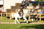 SBM_29452