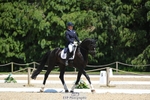 480-FLOW_7-Mollie_Summerland-DR portfolio