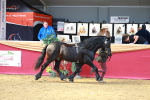 SBM_02959