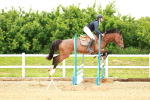 SBM_000204