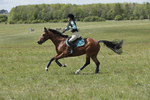 BVHT 140517  IXC -537