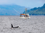 Ketchikan -59