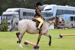 SBM_08601