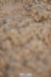 230915A-103856-00193