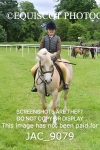WORKING HUNTER - NEWMILNS SHOW 2026 portfolio