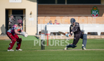 Cannaccord Griffins v Sparsholt-12