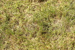 SBM_05601