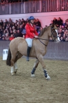 SBM_004379