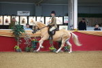 SBM_09787