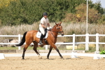 SBM_018749
