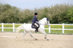 SBM_007253