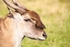 20120903-_MG_9804