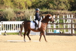 SBM_009184