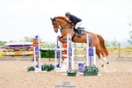 Cls 15 Foxhunter portfolio