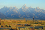 Teton Morning