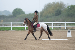 SBM_003405