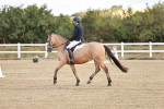 SBM_009070