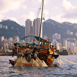 KM-01 Fishing in harbour off Causeway Bay - 1980