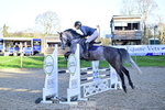 1 British Novice and 90cm Open portfolio
