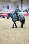 SBM_10222