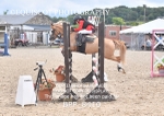 BPP_8410