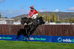 241025-Race 2-Cloonainra-2618