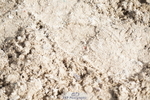 250613A-091630-01043