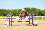 SBM_002451
