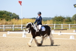 SBM_011837