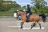 BPP_5703