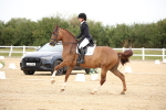 SBM_020223