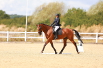 SBM_011790