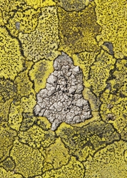 Detail portfolio