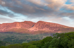 Late May, Cader Idris