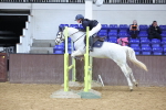 SBM_001504