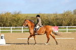 SBM_000425
