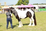 SBM_08804
