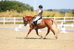SBM_009786