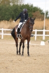 SBM_009734
